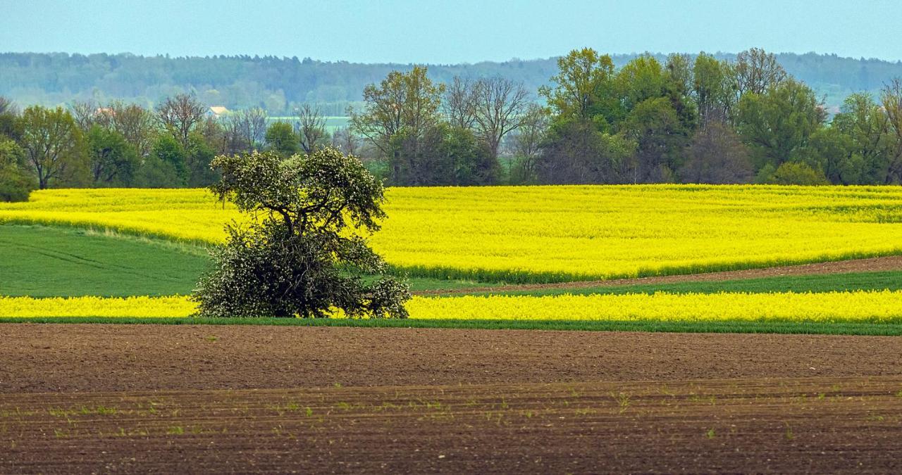 Cztery Luksusowe Domy Na Mazurach, Jezioro Juksty - Sakurarest Sniadowo  Exteriér fotografie