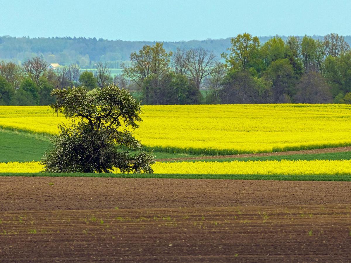 Cztery Luksusowe Domy Na Mazurach, Jezioro Juksty - Sakurarest Sniadowo  Exteriér fotografie